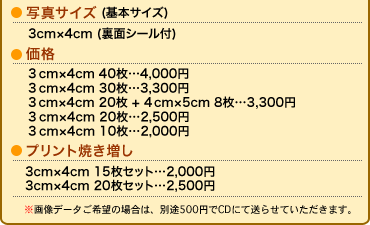 �ʐ^�d�l�E���i